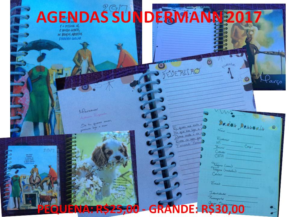 agendas-sundermann-2017